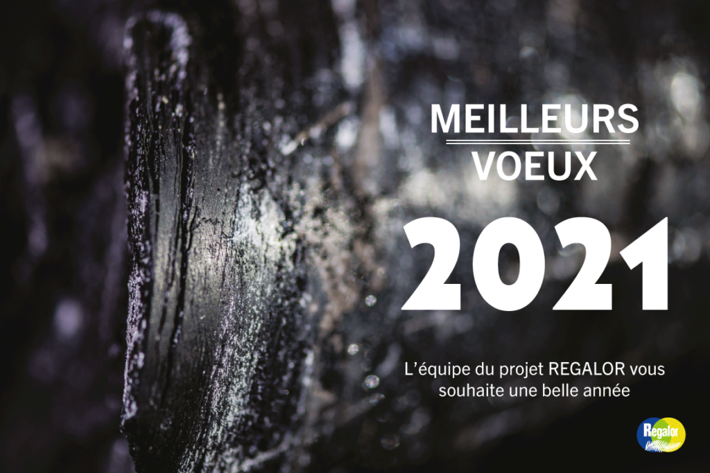 Bonne année Regalor